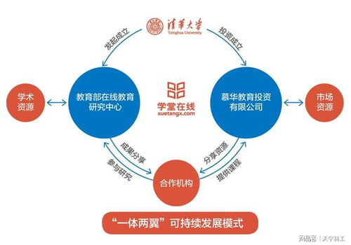 如何在电子学习（e-Learning）管理系统中集成与使用OnlyOffice教学软件